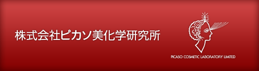 会社概要 株式会社ピカソ美化学研究所