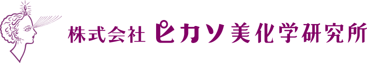 ピカソ 美化 化学 研究 所 ハンド ジェル