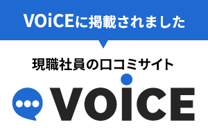 voice